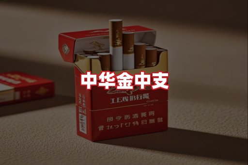 中华金中支